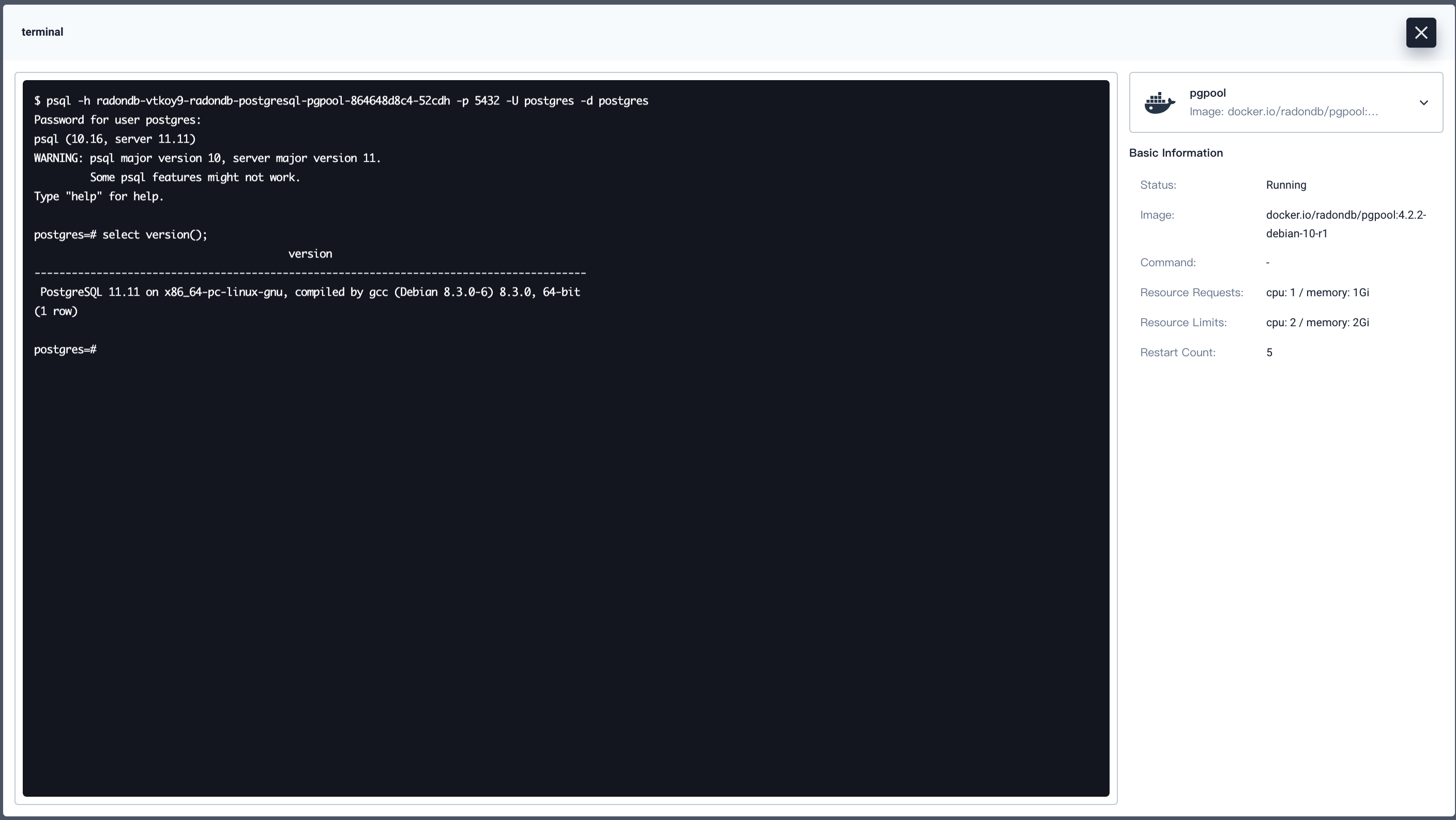 Access RadonDB PostgreSQL